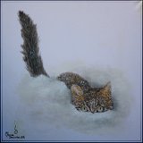 27 Katze im Schnee Acryl auf Leinwand;
50 x 50 cm;
verschenkt